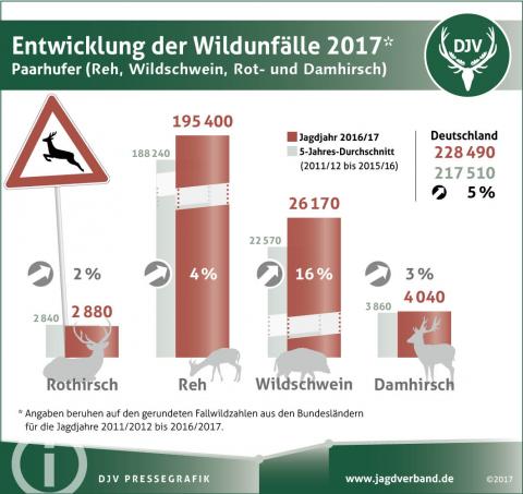 Wildunfälle In Deutschland | Deutscher Jagdverband